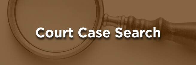 Court Case Search